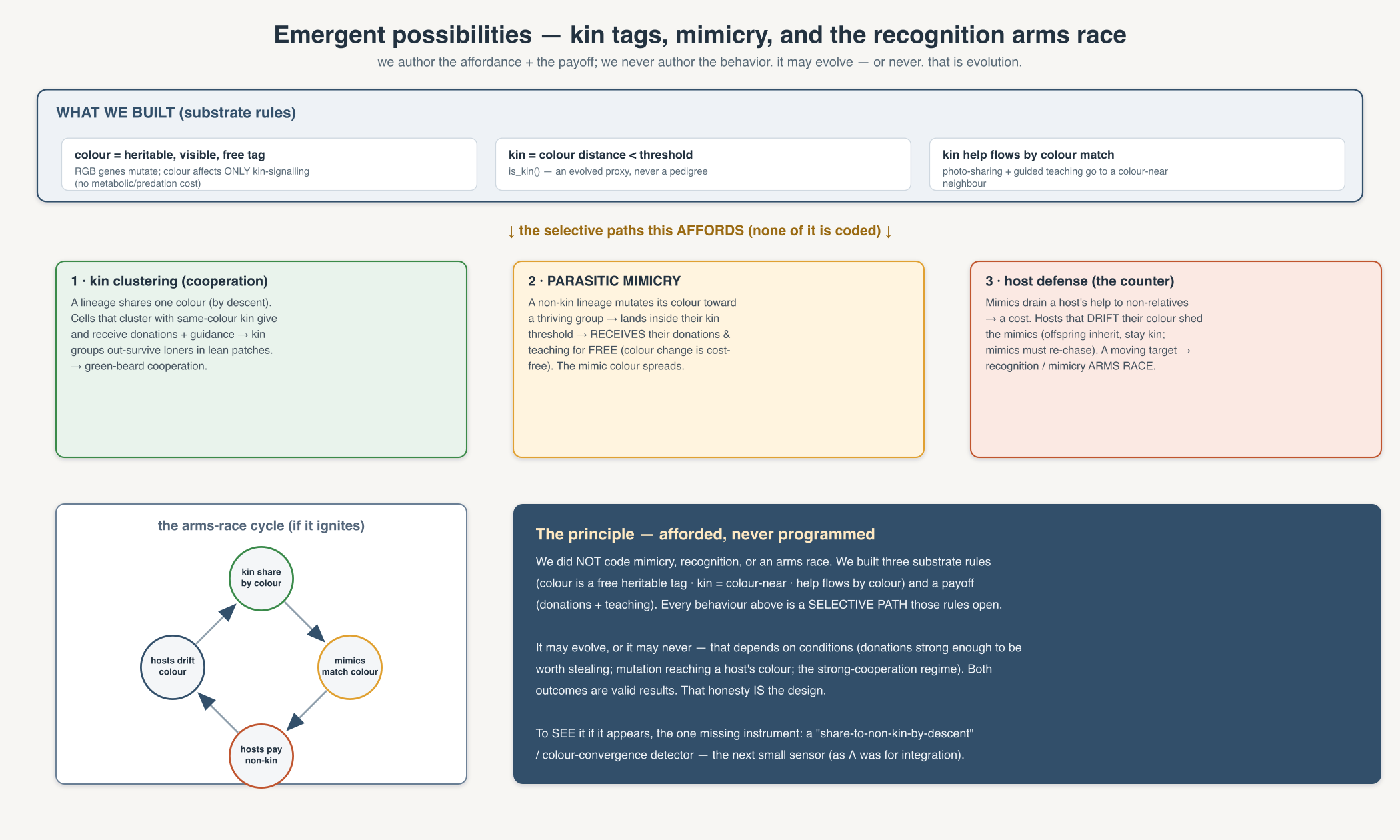 A diagram showing what is built (color kin recognition) and the selective paths it affords: kin clustering, parasitic mimicry, host defense, and the arms-race cycle, with the principle that none of it is programmed.
