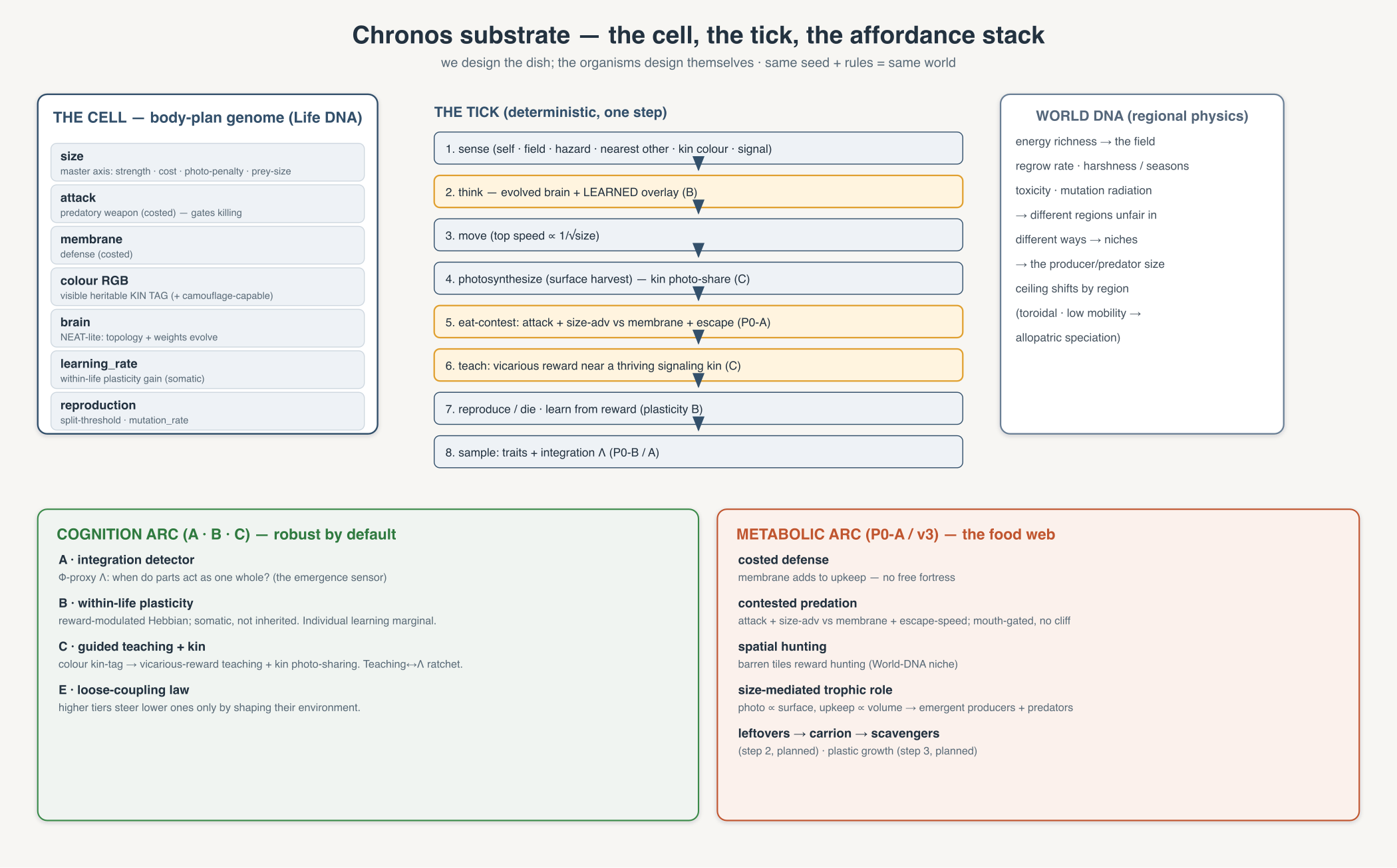 The Chronos substrate: the cell's body-plan genome, the deterministic tick pipeline, and the two arcs (cognition and metabolic).