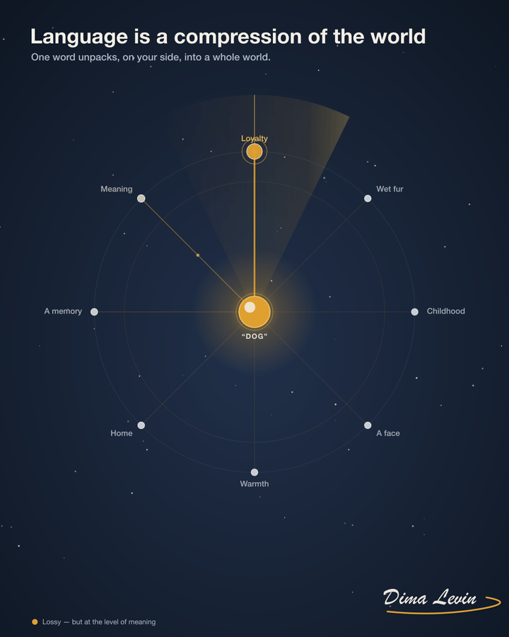 Animated diagram: the word dog sits at the center while loyalty, wet fur, childhood, a face, warmth, home, and meaning orbit it as a constellation.