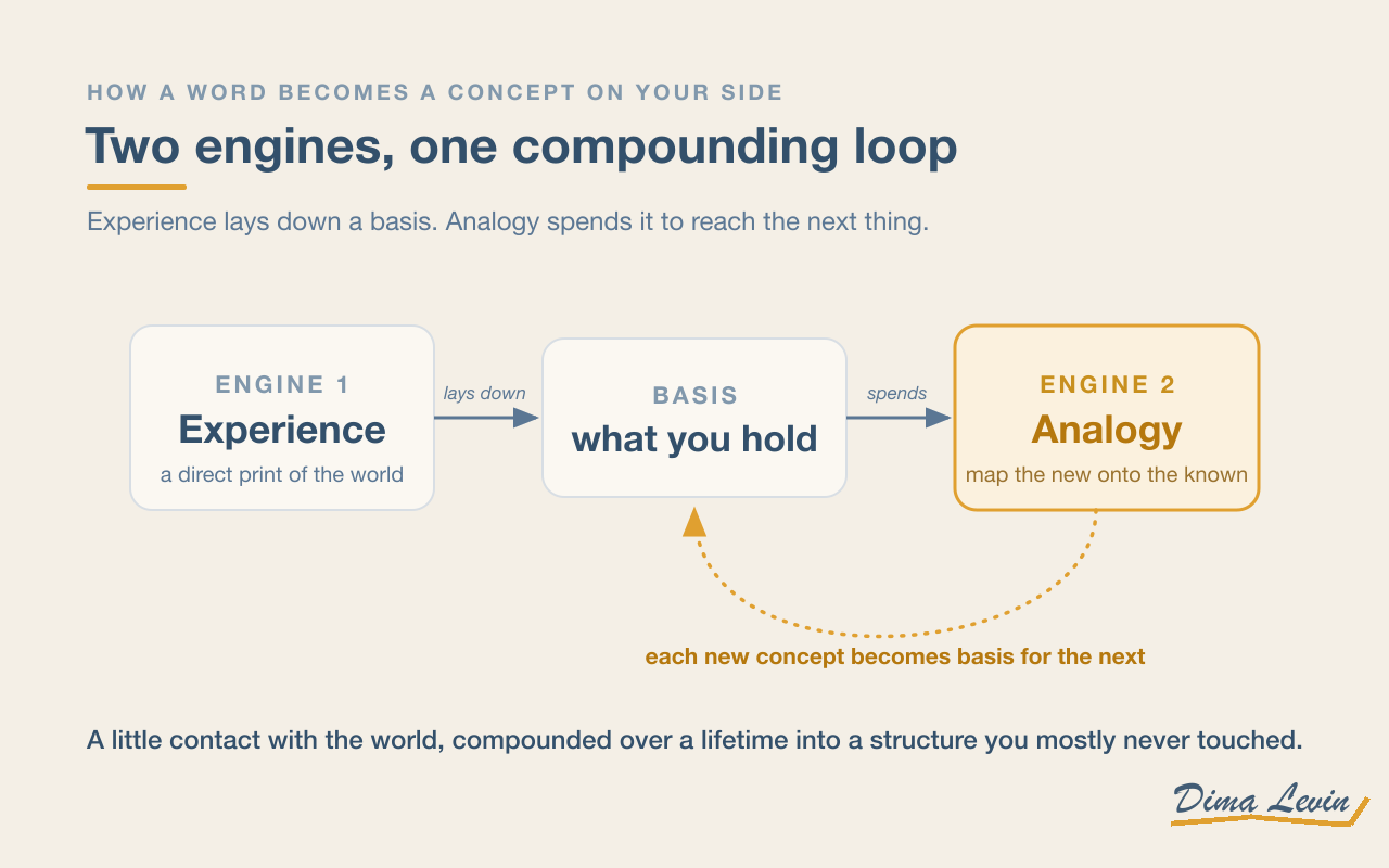 Diagram of two engines and a compounding loop: experience lays down a basis, analogy spends the basis to reach a new concept, and the new concept becomes basis for the next analogy.